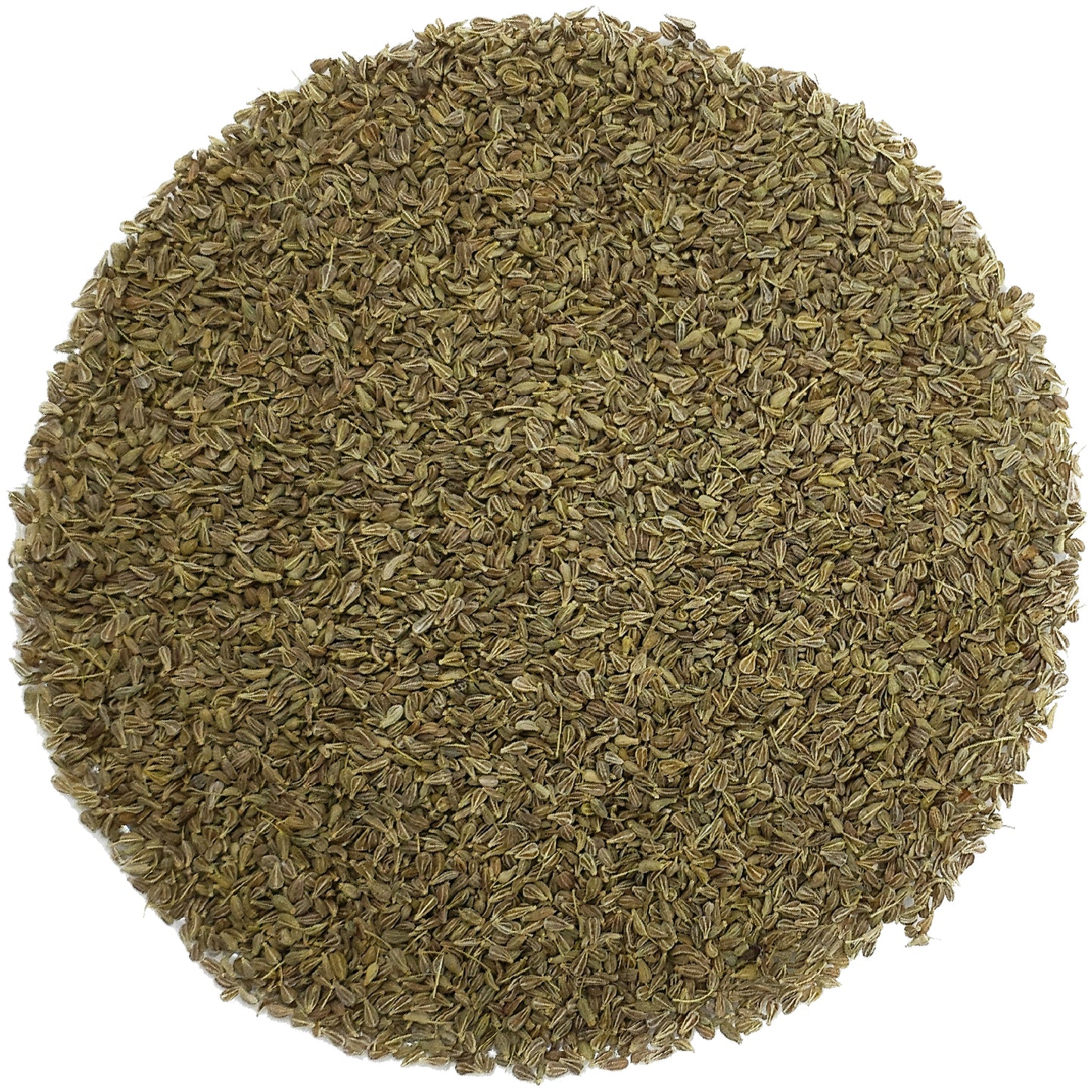 Organic Anise Seeds