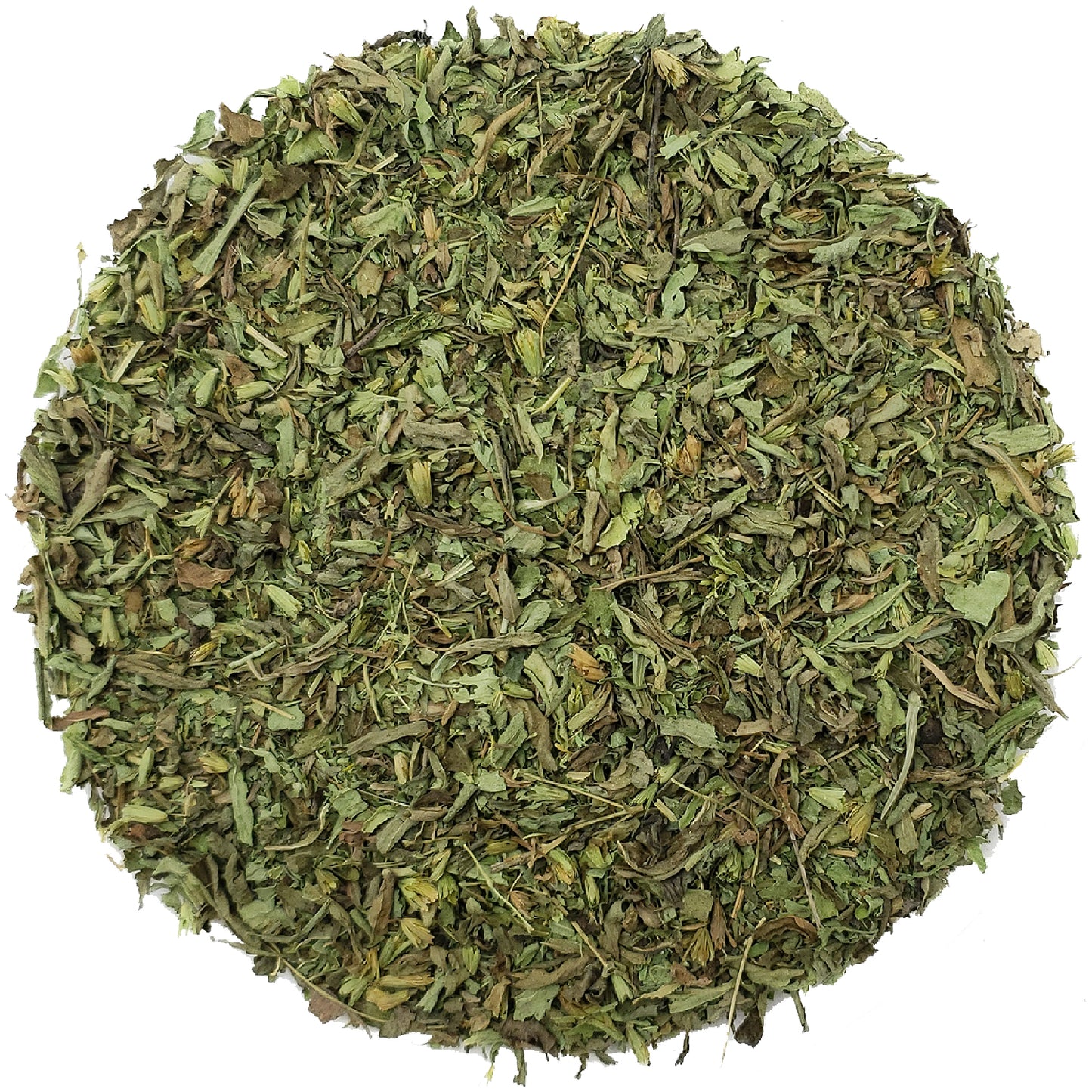 Organic Stevia Leaves Cut