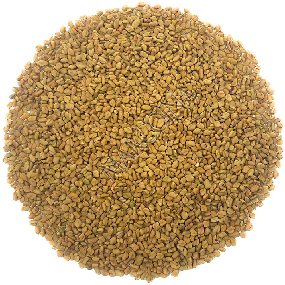 Fenugreek Seeds Organic (Whole)